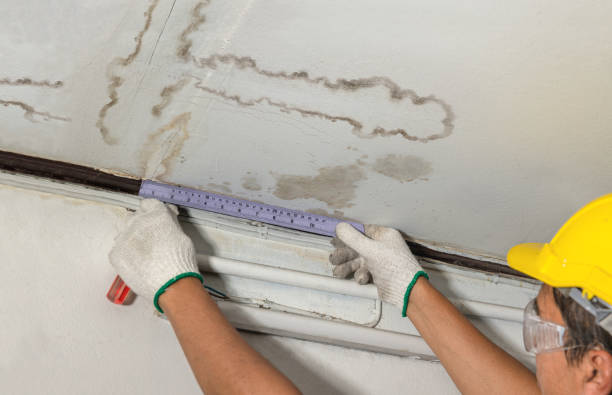 Reliable Burst Pipe Cleanup contractor in Ladonia, AL by Water Damage Irwin